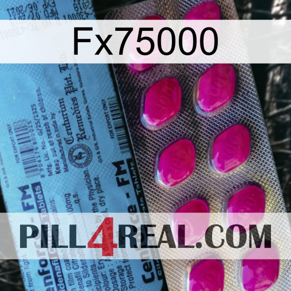 Fx75000 35.jpg